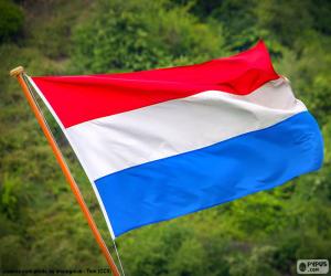 yapboz Hollanda bayrağı